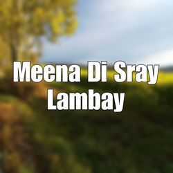 Meena Di Sray Lambay