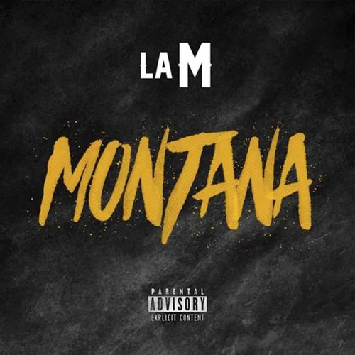 Montana cover art