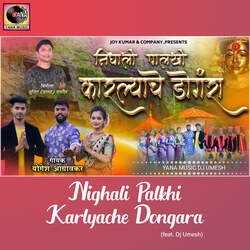 Nighali Palkhi Karlyache Dongara (feat. Dj Umesh)-NSc5fBsIdFE