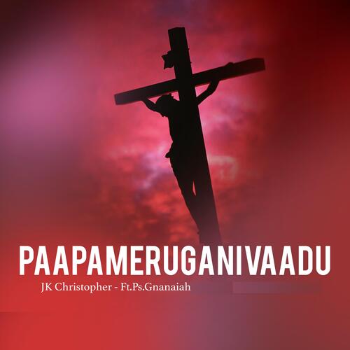 Paapammeruganivaadu