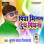Piya Milal Dudh Piyana