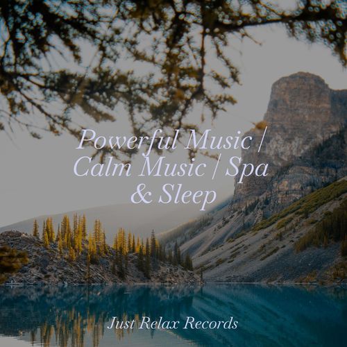 Powerful Music | Calm Music | Spa & Sleep