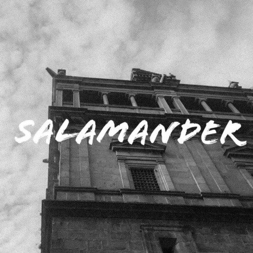 Salamander