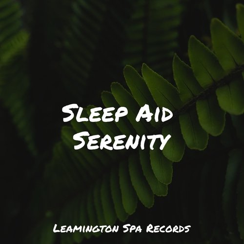 Sleep Aid Serenity