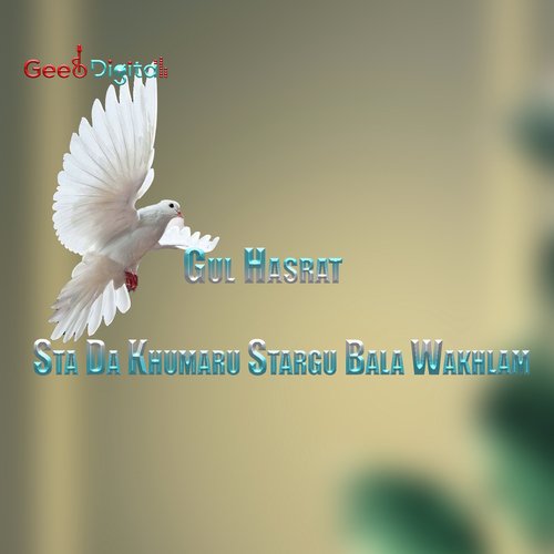 Sta Da Khumaru Stargu Bala Wakhlam