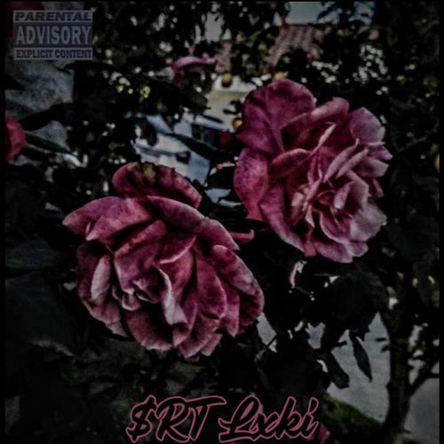 THE DEVIL IS REALLY A WOMAN cover art