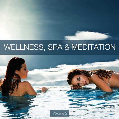 Wellness, Spa & Meditation, Vol. 2
