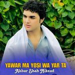 YAWAR MA YOSI WA YAR TA artwork
