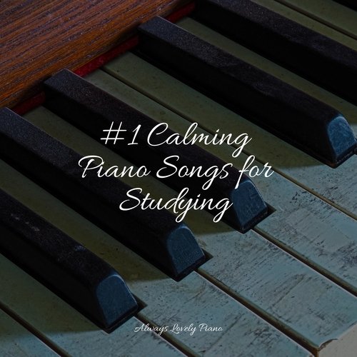 #1 Calming Piano Songs for Studying