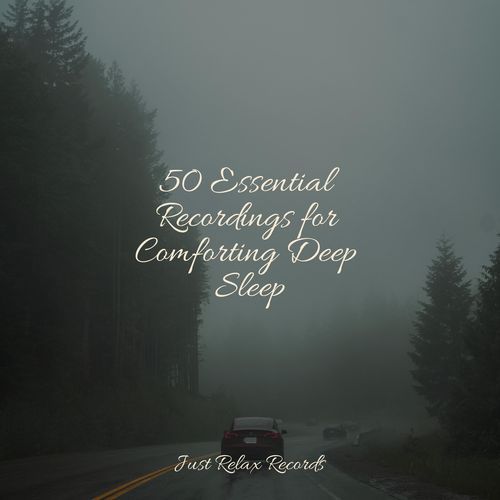 50 Essential Recordings for Comforting Deep Sleep