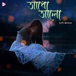 Adho Alo Lofi Version