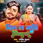 Dil La Jaiehe Piyawa Ghare