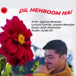 Dil Mehroom Hai-FydfQh57Bl0