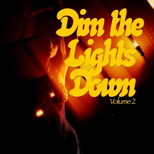 Dim The Lights Down, Vol. 2 (Intimate Hours)