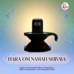 Hara Om Namah Shivaya