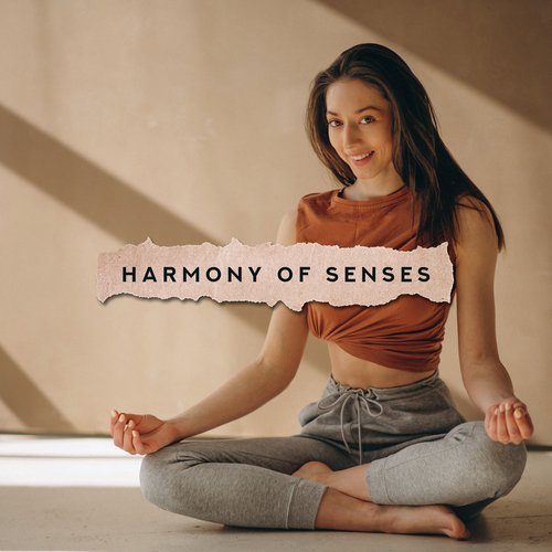 Harmony of Senses: Meditation Music to Calm Down, Relaxation, Yoga Training, Inner Focus, Mindful Music, Ambient Relaxation and Meditation, Zen, Lounge