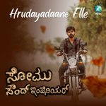 Hrudayadaane Elle (From &quot;Somu Sound Engineer&quot;)