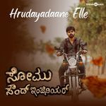 Hrudayadaane Elle (From "Somu Sound Engineer")