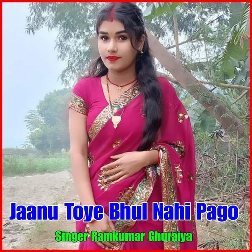 Jaanu Toye Bhul Nahi Pago