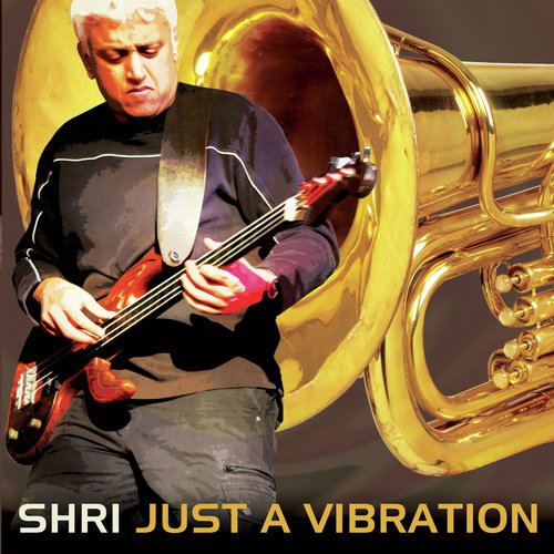 Just a Vibration_poster_image