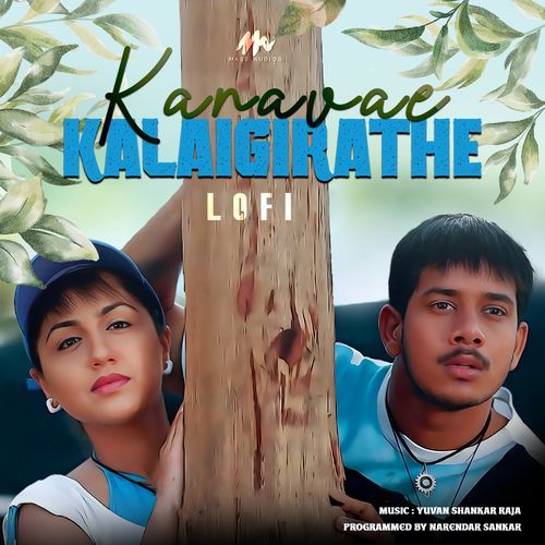 Kanavae Kalaigirathe (Lofi Flip)