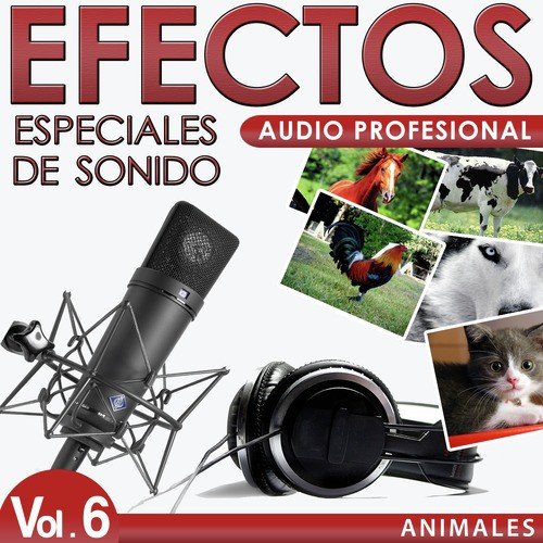 Lion, Horse, Cow, Frog, Bird, Seal... Special Sound Effects._poster_image