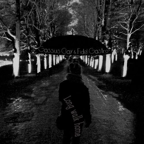 Long walk home cover art