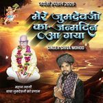 Mere Jumdevji Ka Janmdin Aa Gaya (DJ Remix) artwork