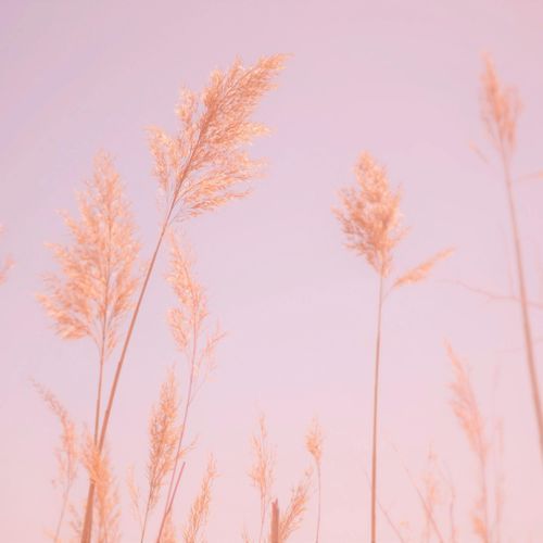 Mind and Body Relaxation Sleep Therapy Music Vol.1