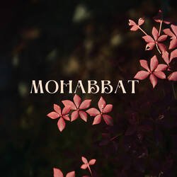 Mohabbat-PSoaRiJYQXo