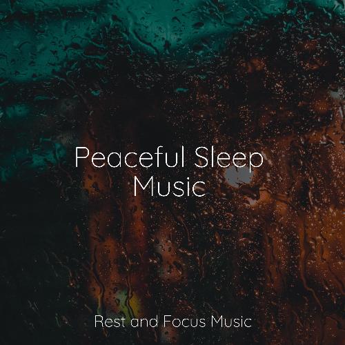 A Calm Forest cover art