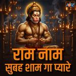 Ram Naam Subah Sham Gaa Pyare