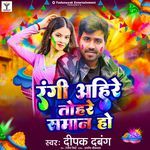 Rangi Ahire Tohar Saman Ho