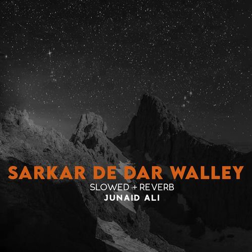 Sarkar De Dar Walley Lofi