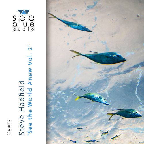 Manta Ray cover art