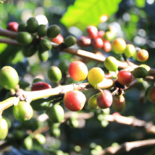 Shokari Chakri Thakle Jotoi Hok Na Kalua