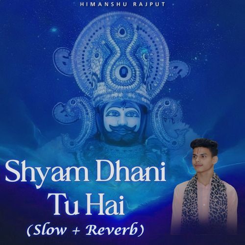 Shyam Dhani Tu Hai (Slowed & Reverb) cover art