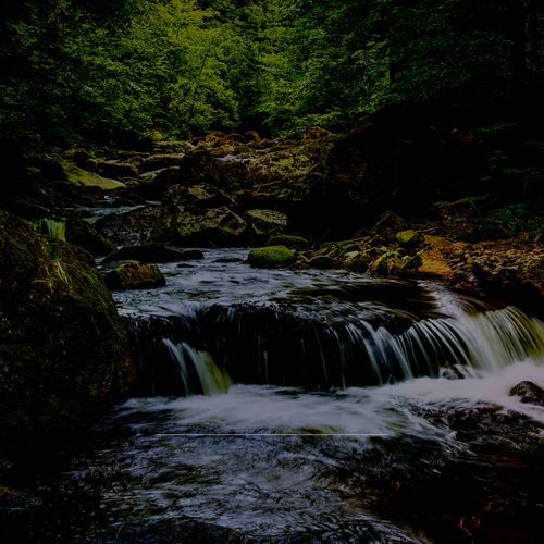 Night's Nectar cover art