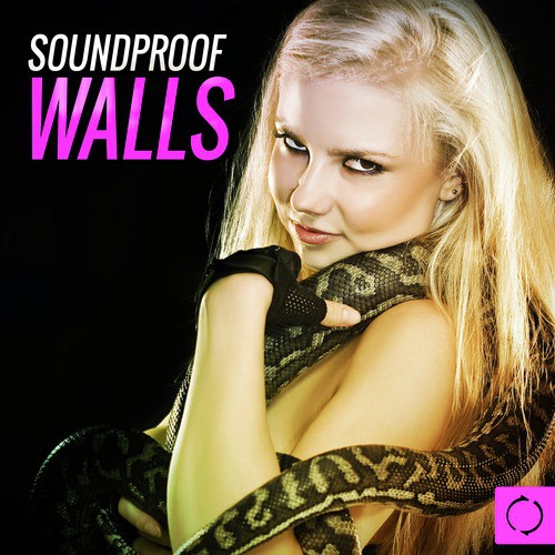 Soundproof Walls