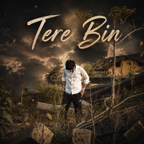 Tere Bin
