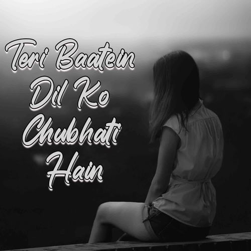 Teri Baatein Dil Ko Chubhati Hain