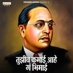 Tuzich Kamai Ahe Ga Bhimai