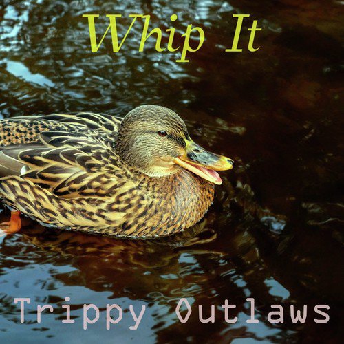 Robert cover art