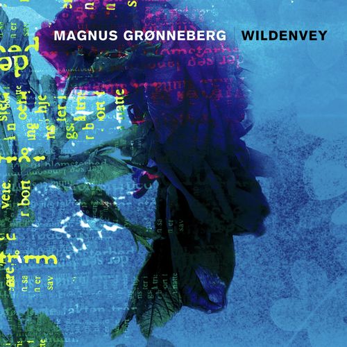 Wildenvey