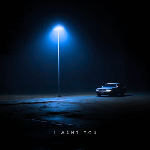 i want you (extra sped up)