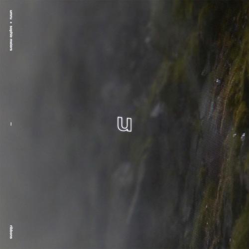 ribbons (feat. Sophie Meiers) cover art