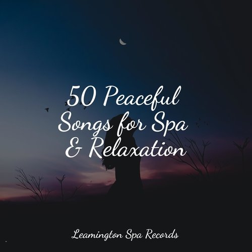 50 Peaceful Songs for Spa & Relaxation