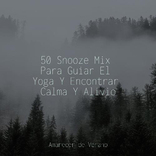 50 Snooze Mix Para Guiar El Yoga Y Encontrar Calma Y Alivio