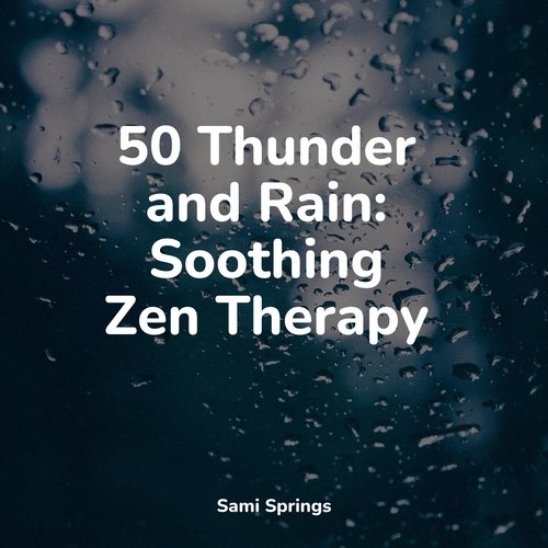 50 Thunder and Rain: Soothing Zen Therapy_poster_image