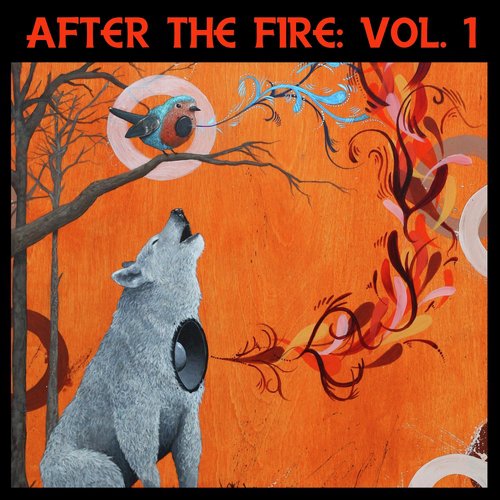 After the Fire, Vol. 1